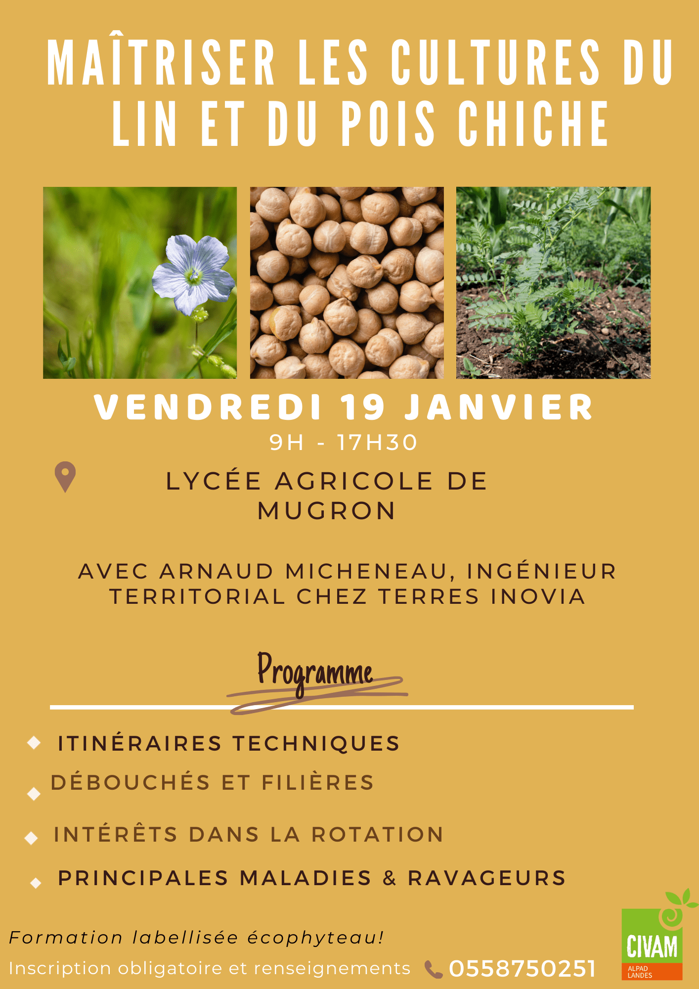 culture du lin et pois chiche 2 min