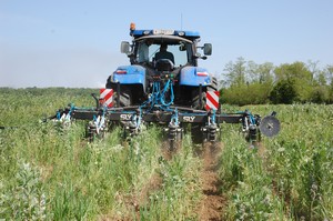 Démo Strip till 25 avril 2013 (4)