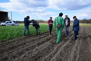 Formation patate 11 03 19 (2)